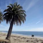 Refugio State Beach