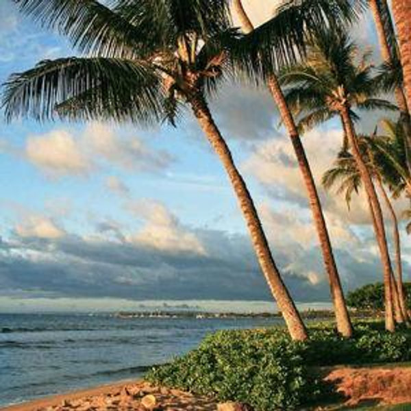 Our Hawaii Honeymoon Fund
