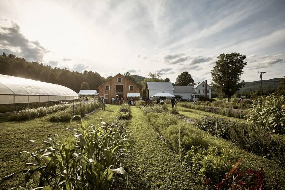 The Wedding Website of Kathryn Barnes and Alec Beloin