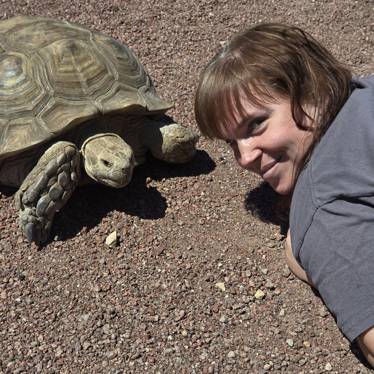 Her turtle friend