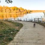 Shawnee Mission Park Dog Off-Leash Area
