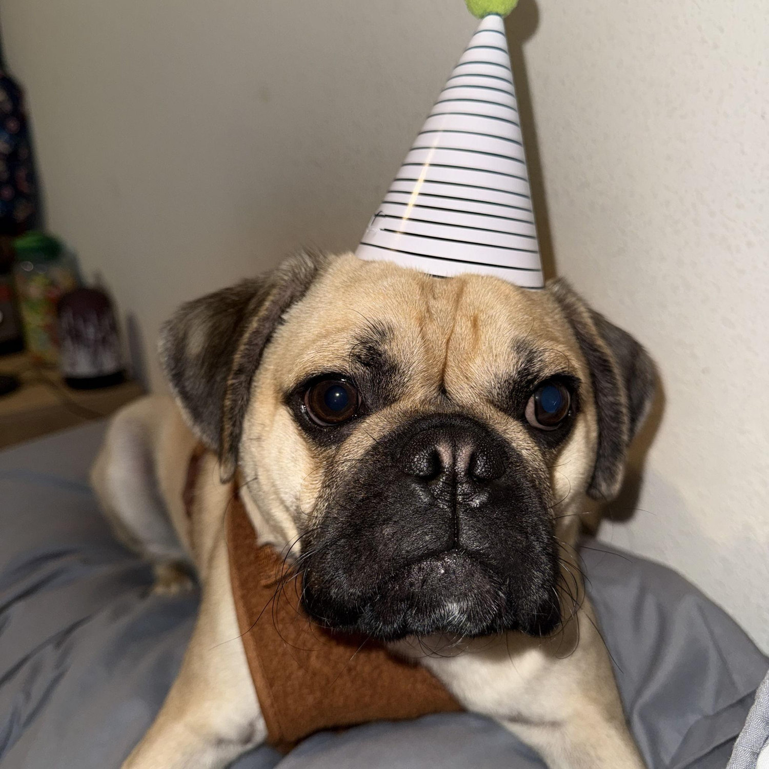JJ's first birthday