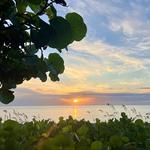 Carlin Park Beach Access