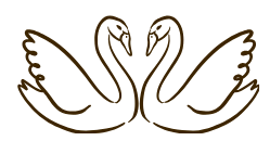 The Wedding Website of Sam Anthony and Rachel Etzel