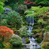 Portland Japanese Garden