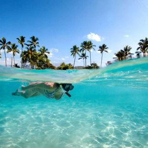 Snorkeling Adventures