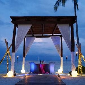 Honeymoon Dinner on the Beach