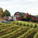 Carter Mountain Orchard