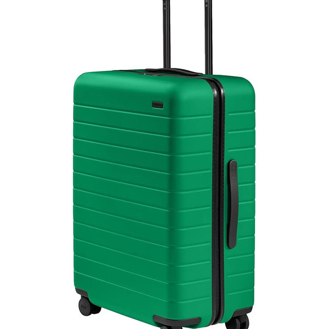 Away Amazon Exclusive Medium Checked Luggage - 26-Inch Lightweight Hardside Suitcase with Custom WhisperGlide 360° Wheels, Interior Compression System, TSA-Accepted Lock - Palm Green