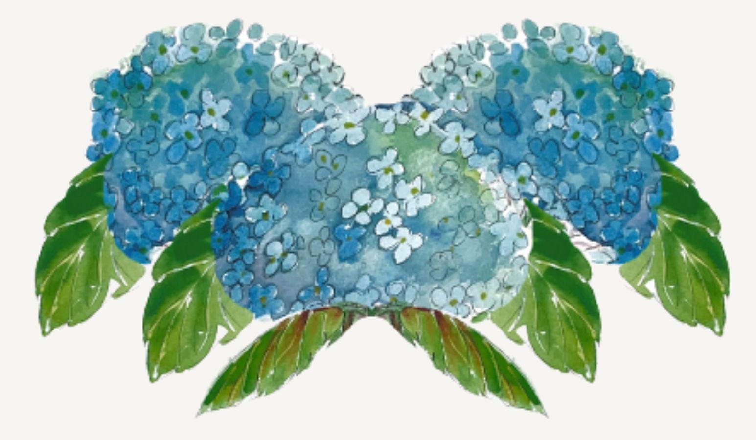 Footer image