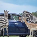 Texas Zoofari Park