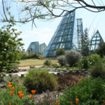 TO DO | San Antonio Botanical Garden