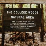 College Woods
