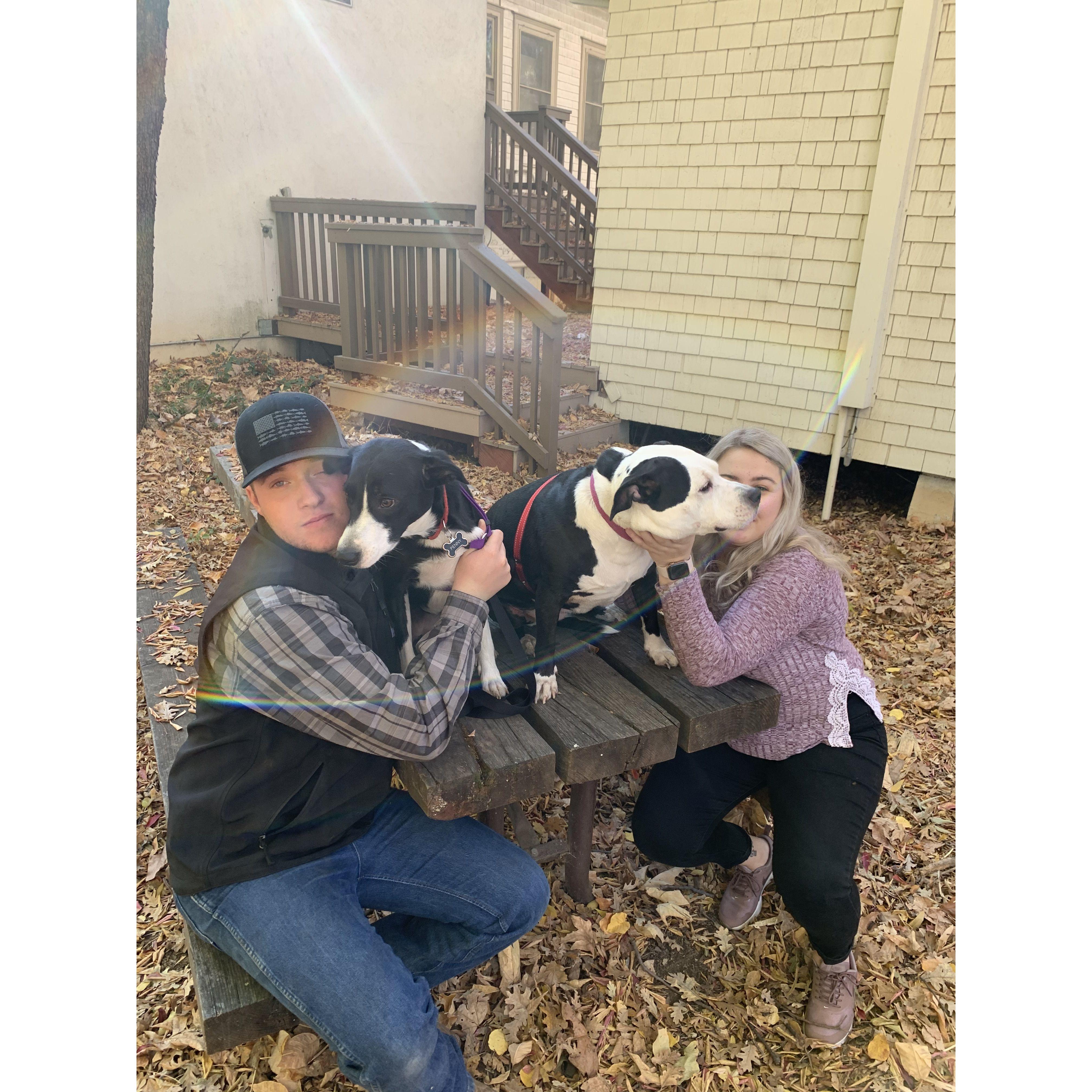 Trying to take a picture with our dogs