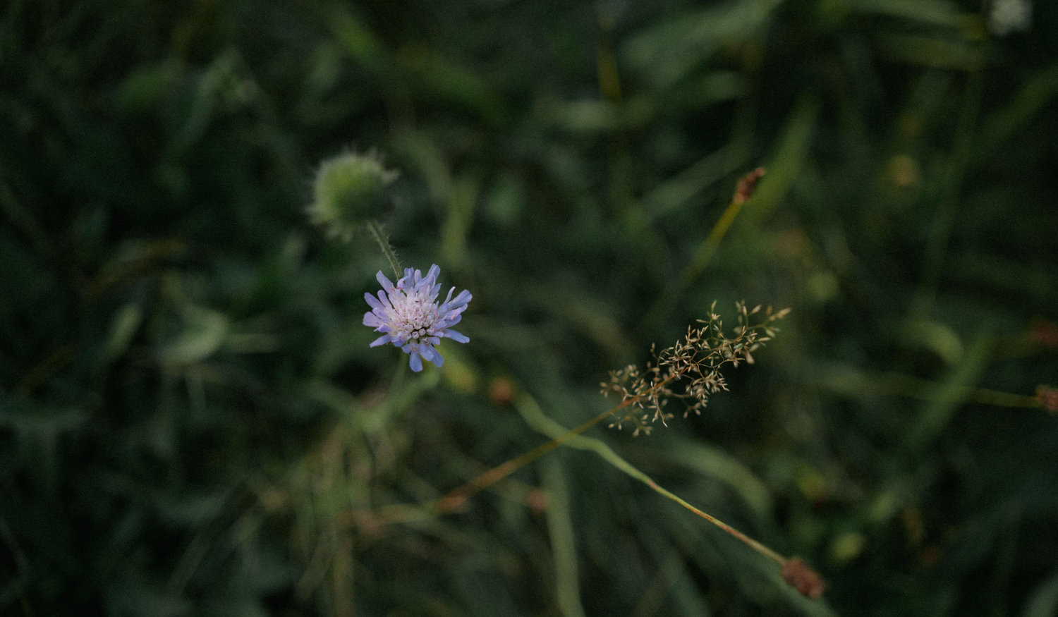 Footer image