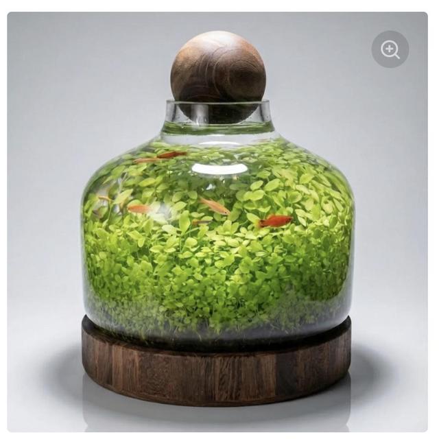 Complete Set Of Eco-Water Grass Tank