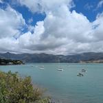 akaroa