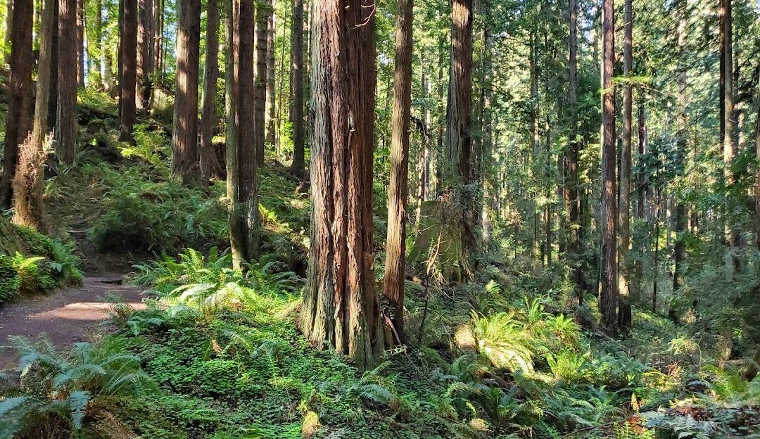 The Wedding Website of Richelle Lopez and Stuart Felkner