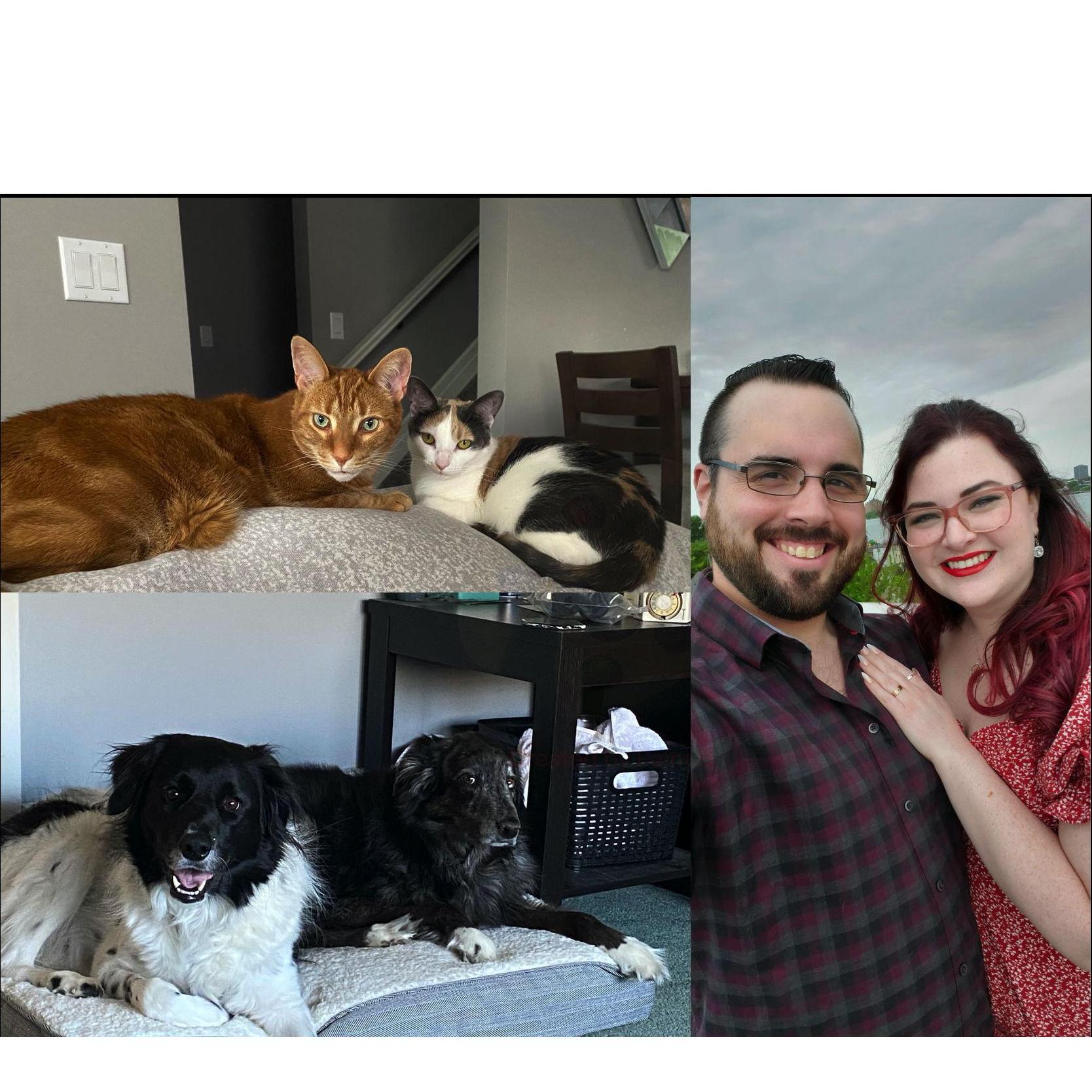 Our Little Family!