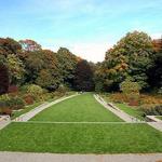 Arnold Arboretum