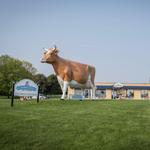 Cedar Crest Ice Cream Factory & Parlor