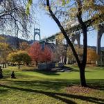 Cathedral Park