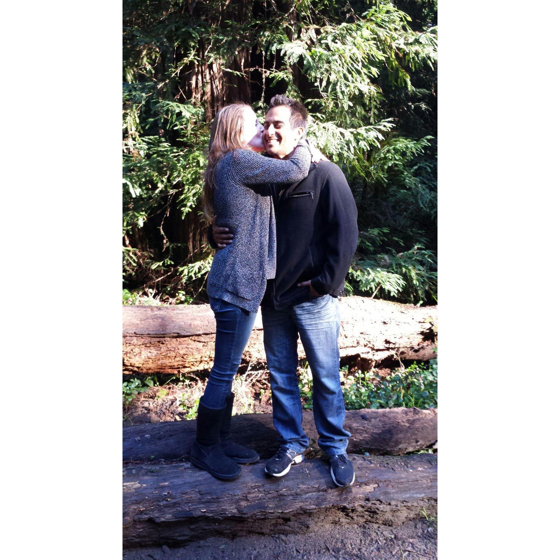 Love in the redwoods in Henry Cowell Park