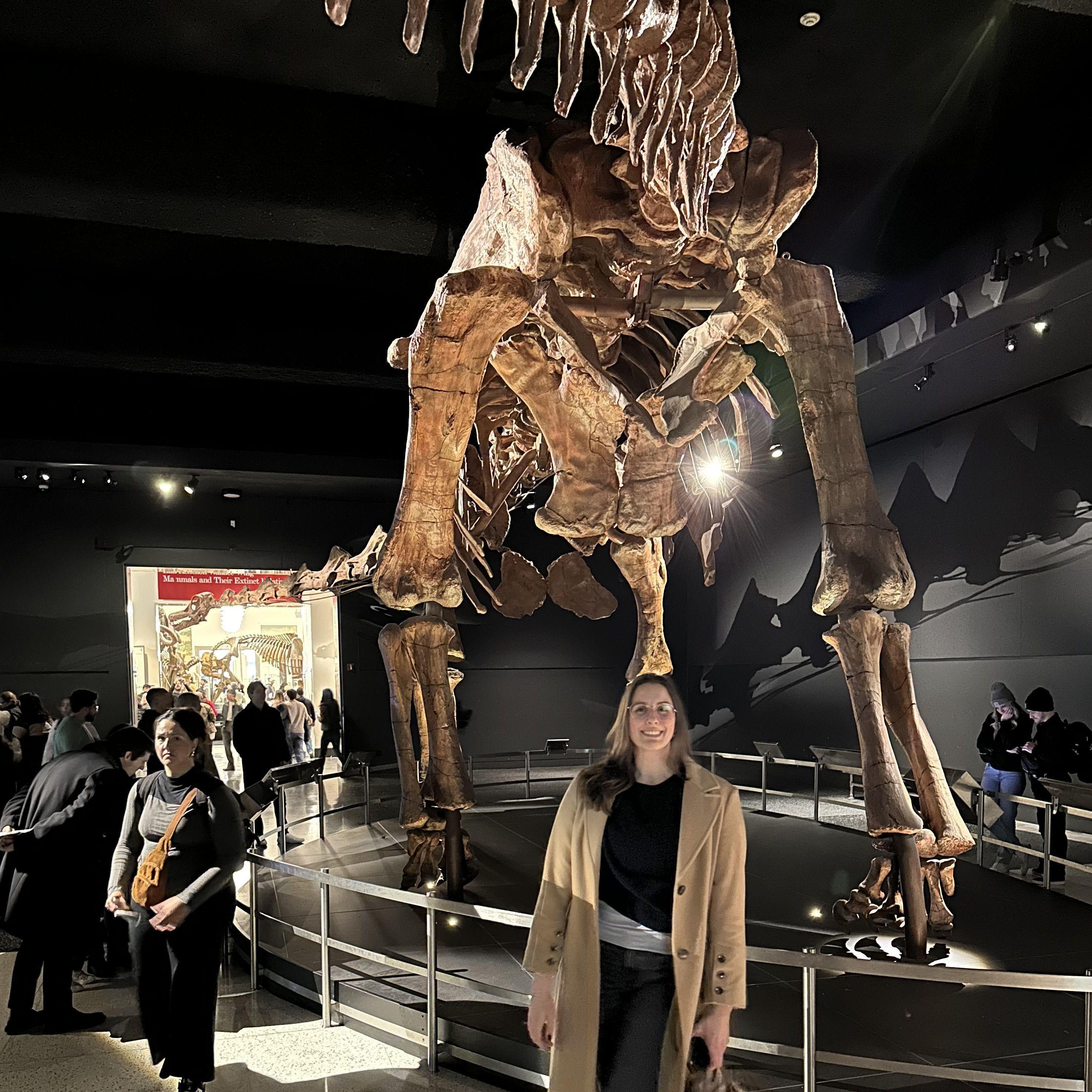 Said dinos from the FAQs