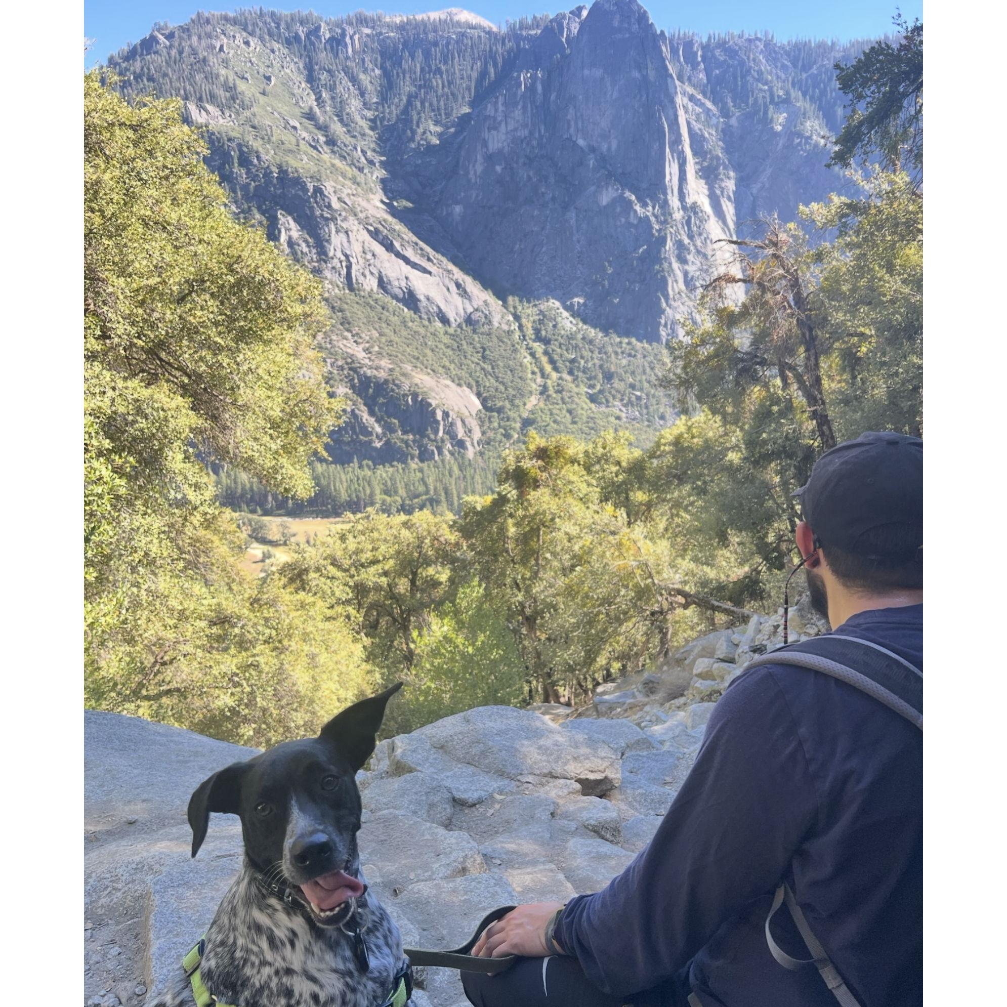 Yosemite Falls Hike - we plan to do this on Sunday together!