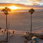 Venice Beach Skatepark