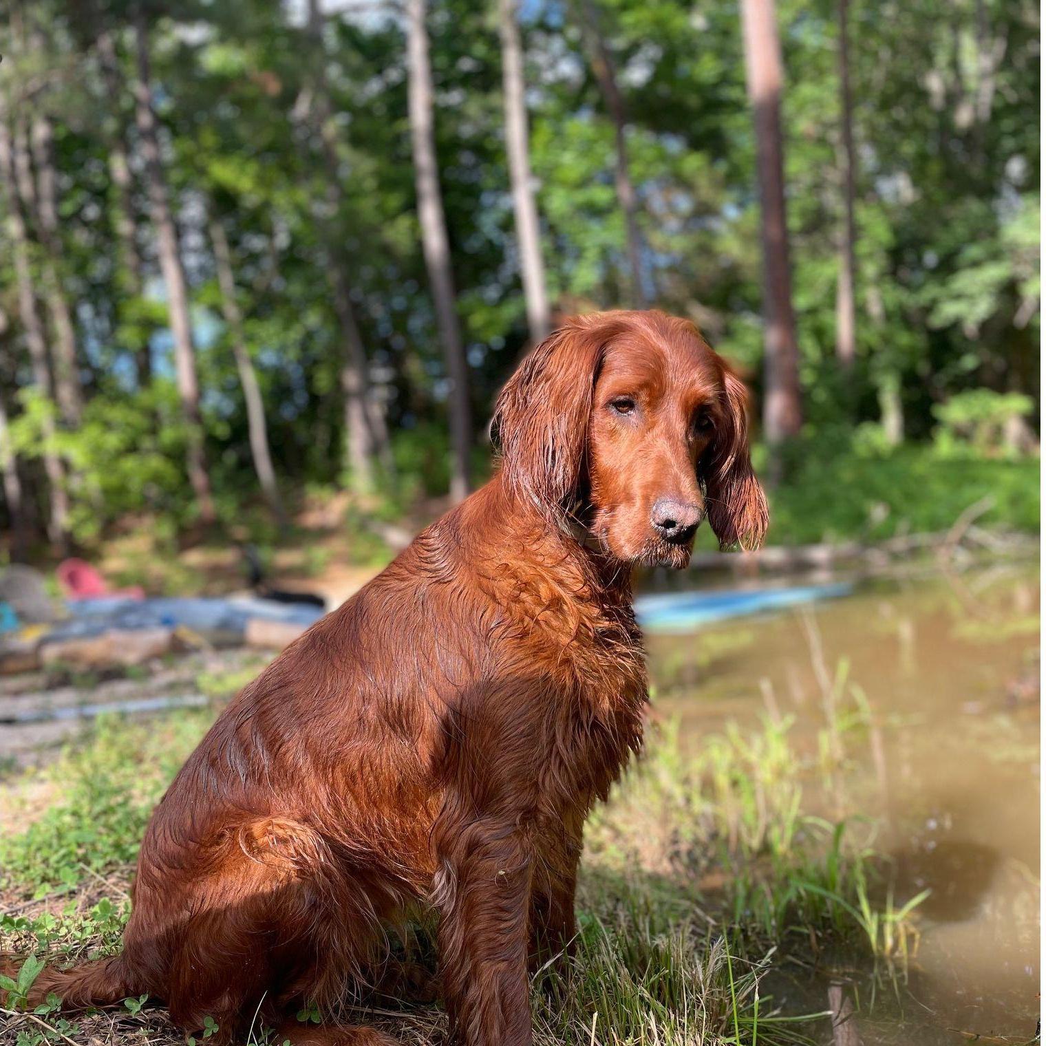 Sweet Millie, loves a good photo of herself.