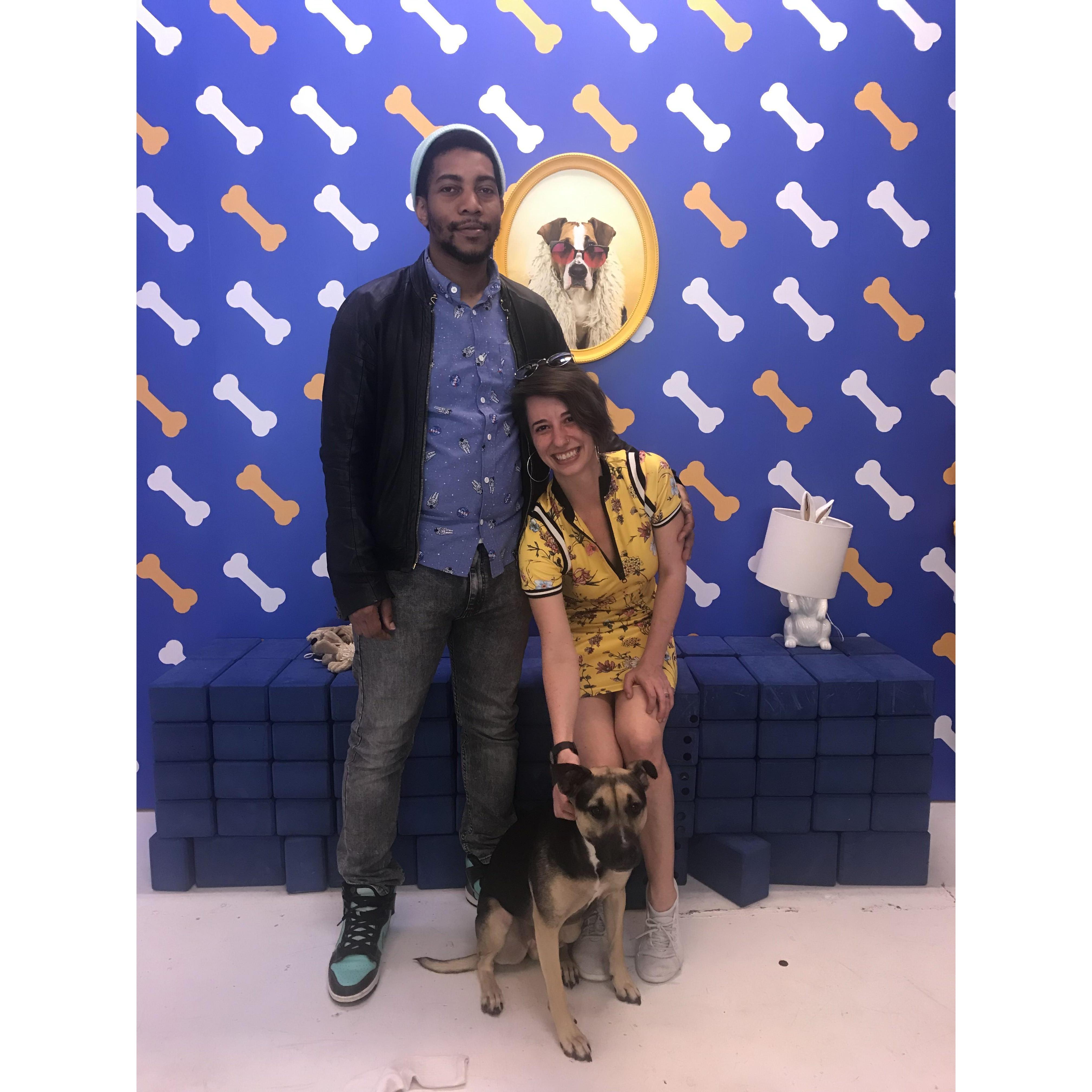 Puppy date with our sweet Evi!