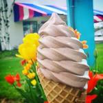 All 4 Fun Entertainment