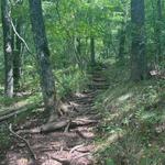 Bartram & Appalachian Trails