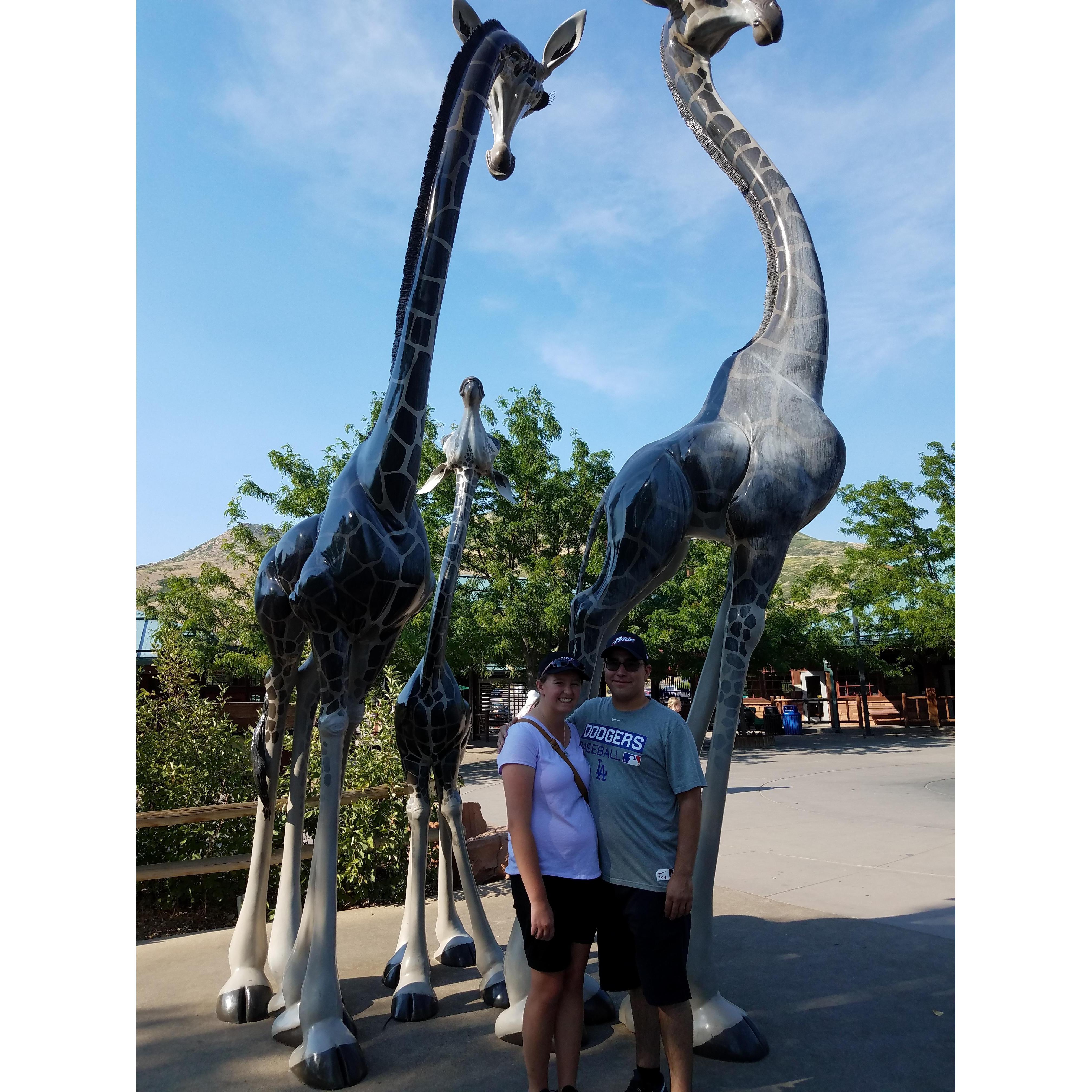 Hogle Zoo! 2018