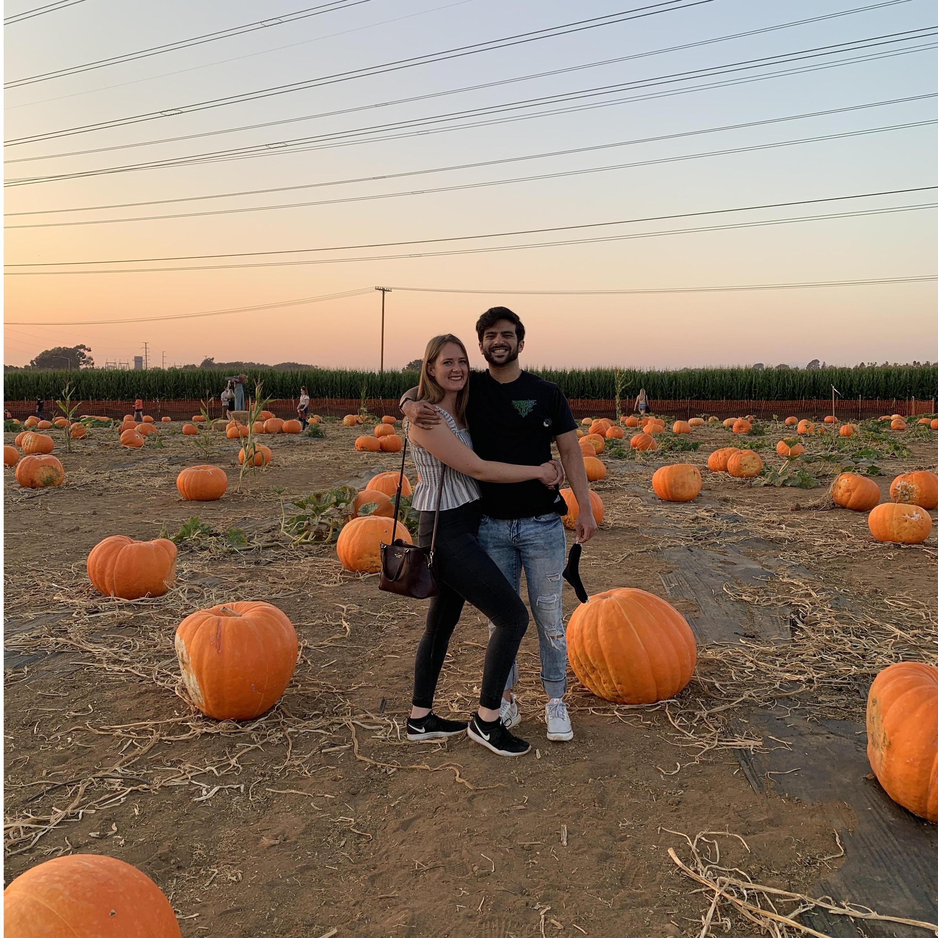 Pumpkin patch, Halloween 2020. With Alexa and Qudama.