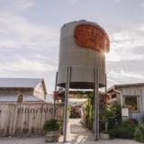 Finnriver Farm & Cidery