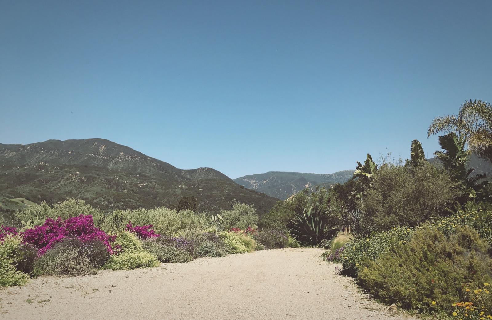 7713c9ed-1056-474d-9765-3b8987c48e6a