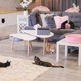 Frisky Cat Cafe