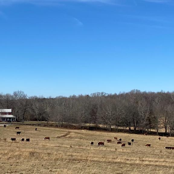 View of the farmhouse from the “top of the hill”.