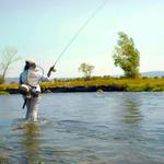 Fly Fishing
