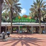 Audubon Zoo