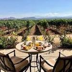 Wine Tasting
