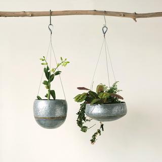 Havana Galvanized Iron Hanging Planter