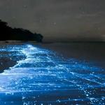 Bioluminescent Bays