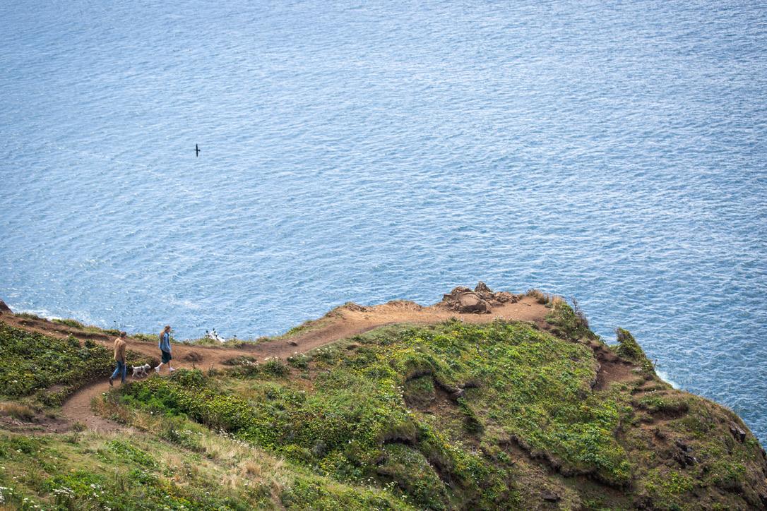 77269bb5-43ff-45aa-8c6f-fd723f10f89a