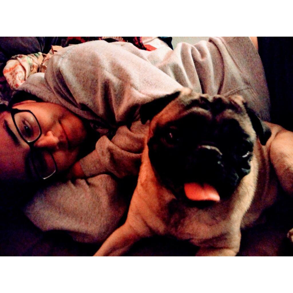 And Gus loved Missy right away!
