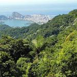 Tijuca National Park