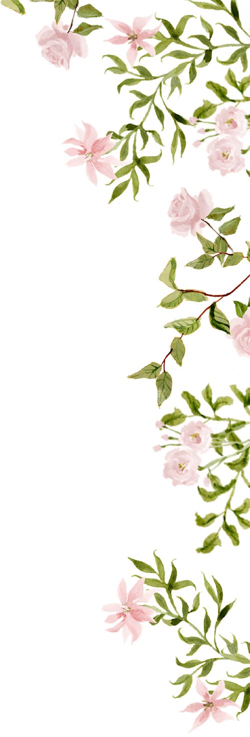 Sophia Scala and Joseph DiRenzo's Wedding Website