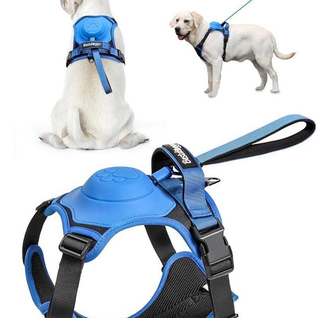 Dog Harness for Medium Dogs No-Pull - Harness for Dogs with Built-in Retractable Leash, Heavy Duty Front Clip Dog Harness, Adjustable Soft Padded Dog Vest, Auto-Lock Dog Vest Harnesses for Large Dogs